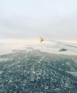 screen-shot-2017-01-03-at-12-05-04-pm