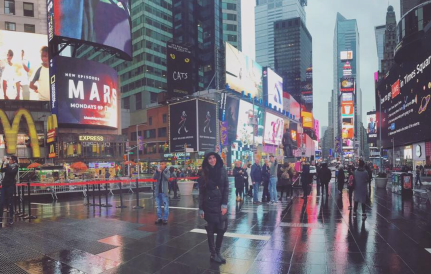 screen-shot-2017-01-03-at-12-05-14-pm