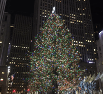 screen-shot-2017-01-03-at-12-06-30-pm